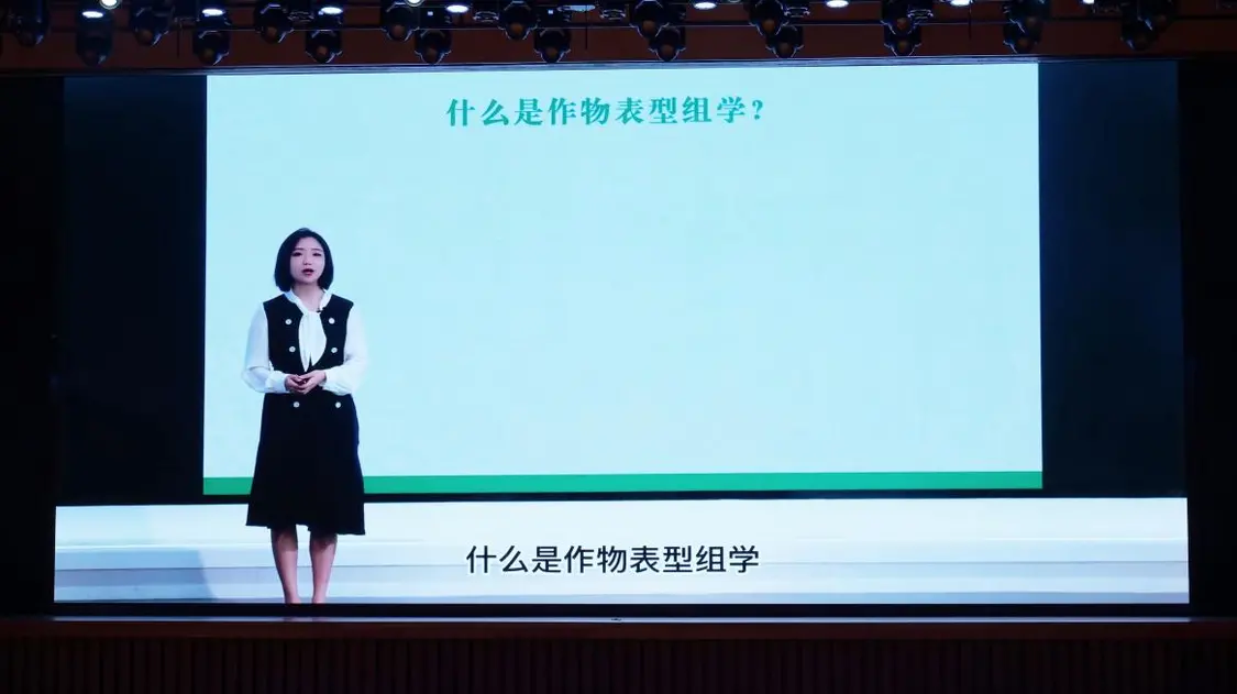 PG试玩